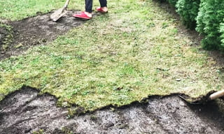 Снятие дерна старого газона в Сургуте – от 511 руб. | 2Землекопа-Срг