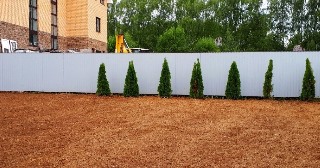 Отсыпка грунта Сургут, цена от 205 руб.